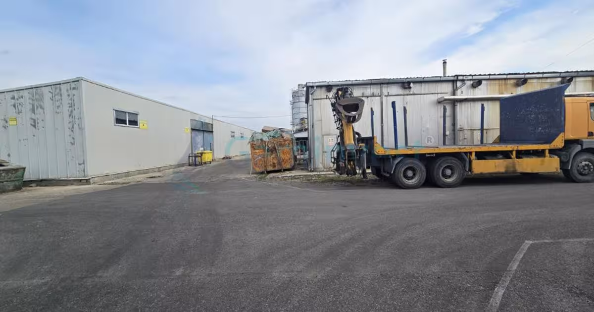 Spațiu industrial 5500 mp în Borș