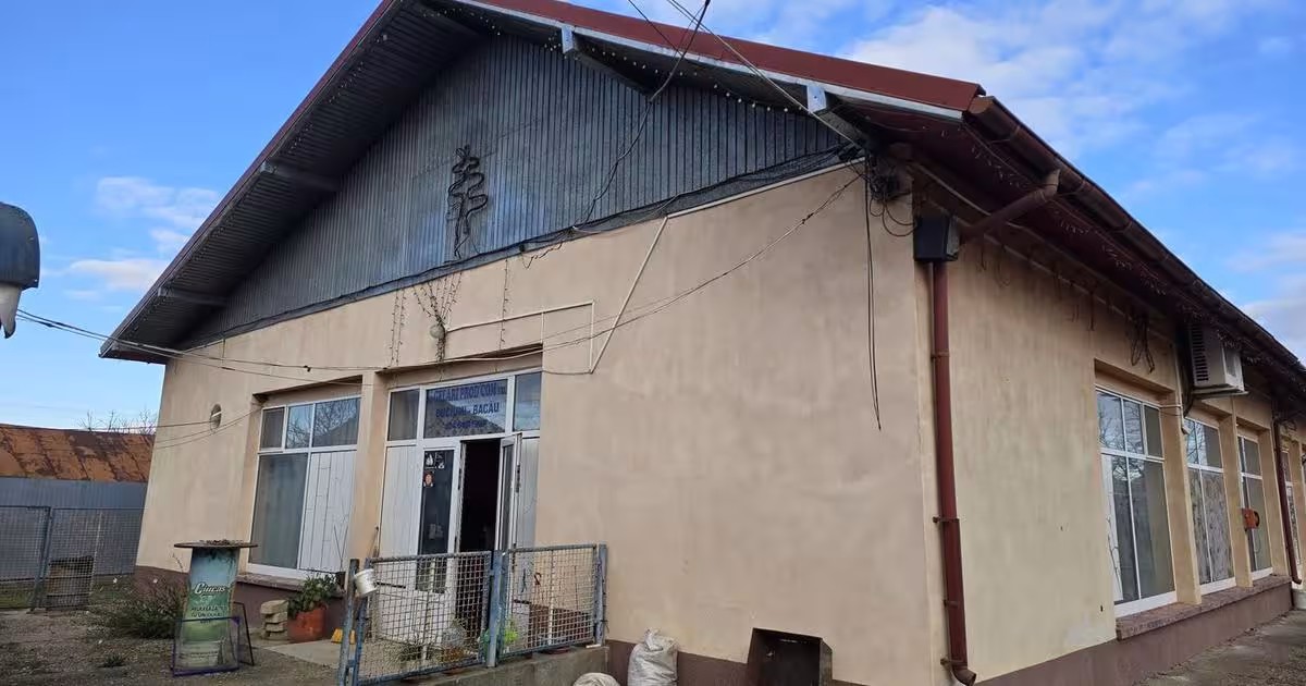 Spațiu industrial 287 mp în Buciumi