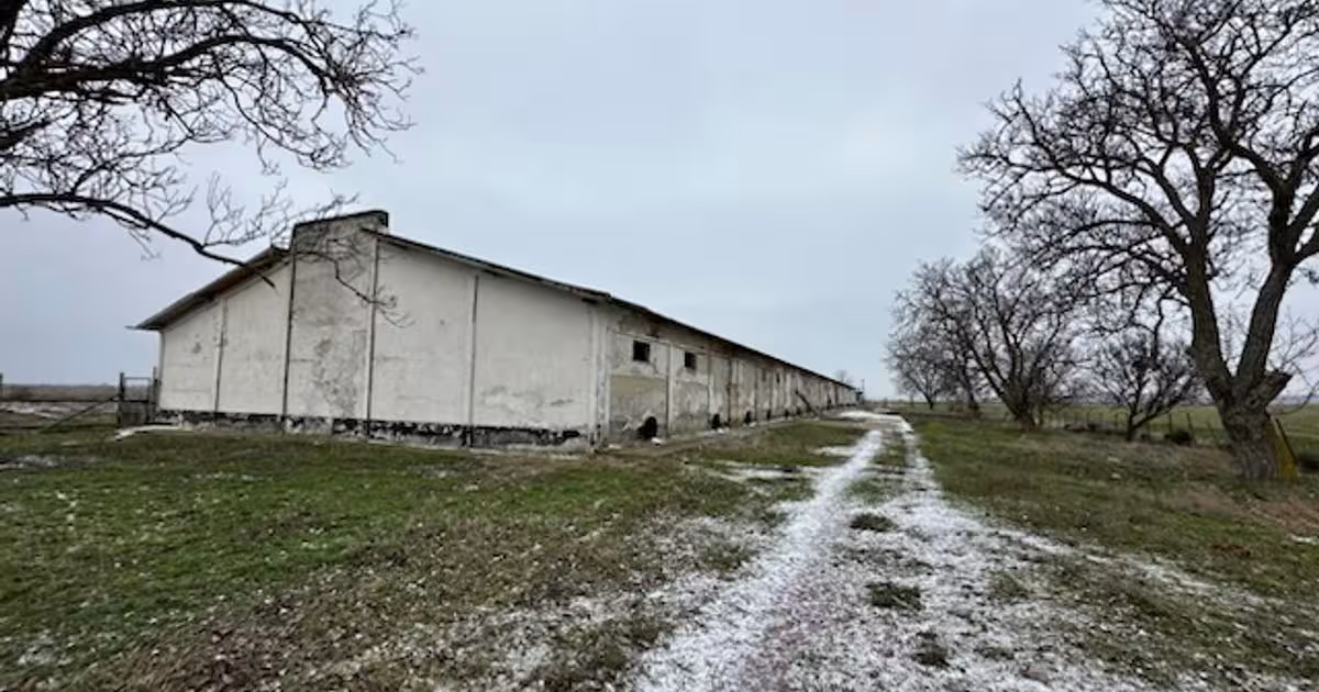 Spațiu industrial 4448 mp în Ceamurlia de Jos