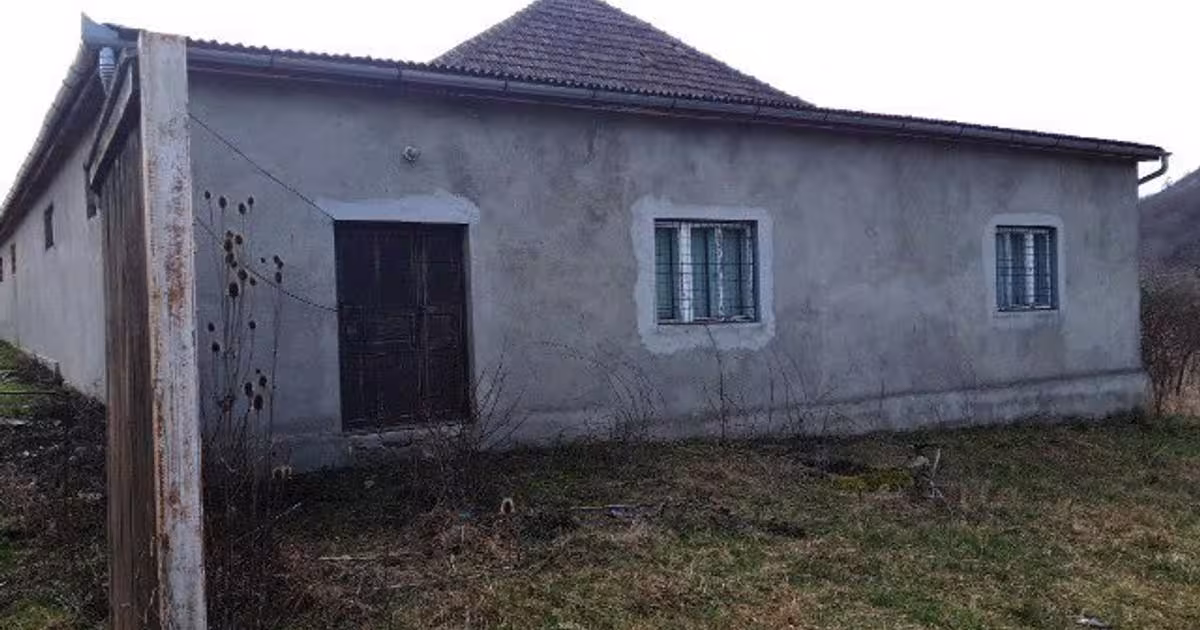Spațiu industrial 363 mp în Chilioara preț 115.642 RON