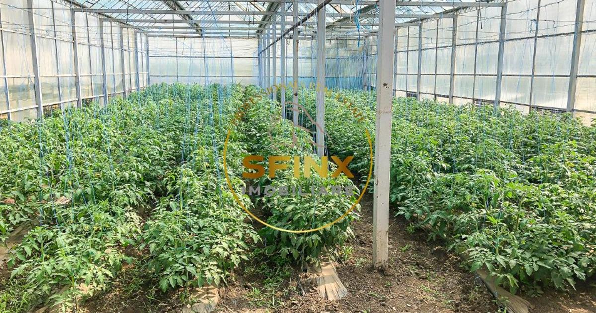 Spațiu industrial 1111 mp în Fântâna Doamnei