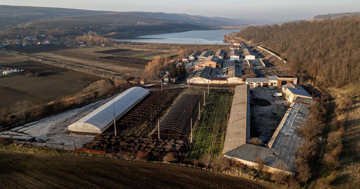 Spațiu industrial în Horgești