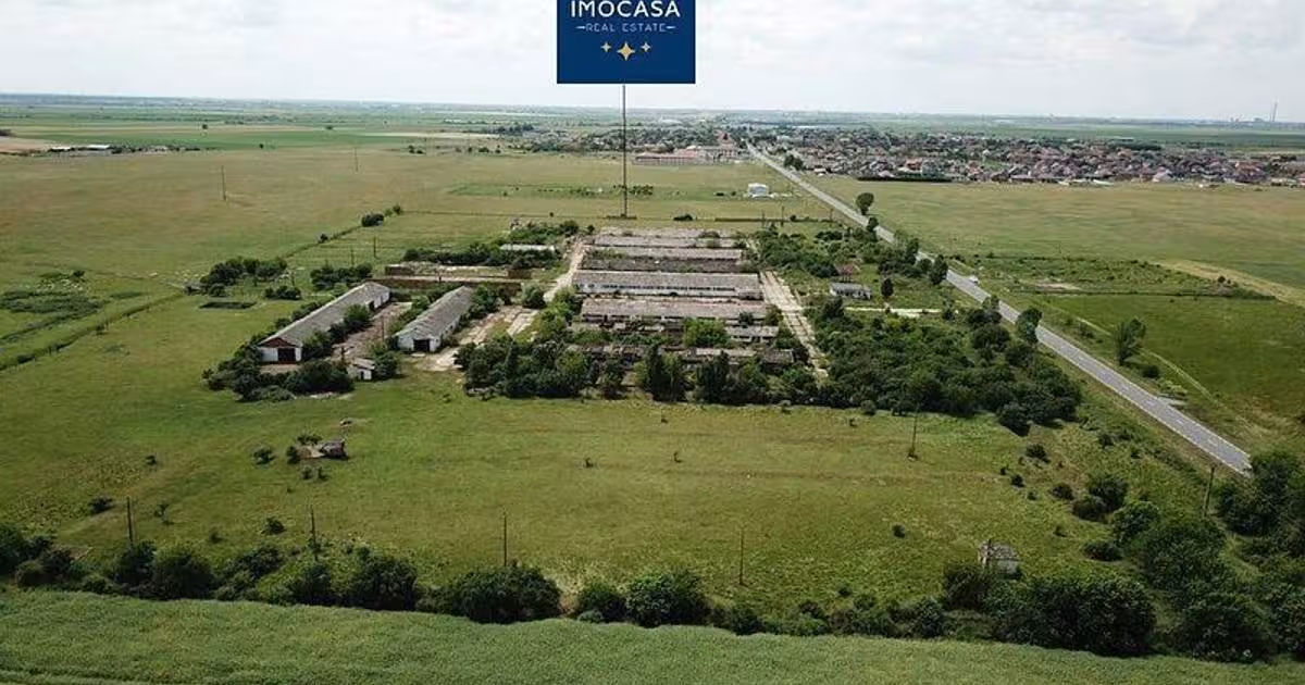 Spațiu industrial în Horia