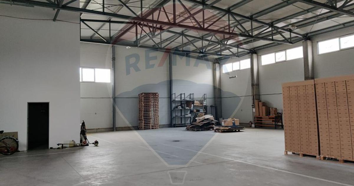 Spațiu industrial în Ilia