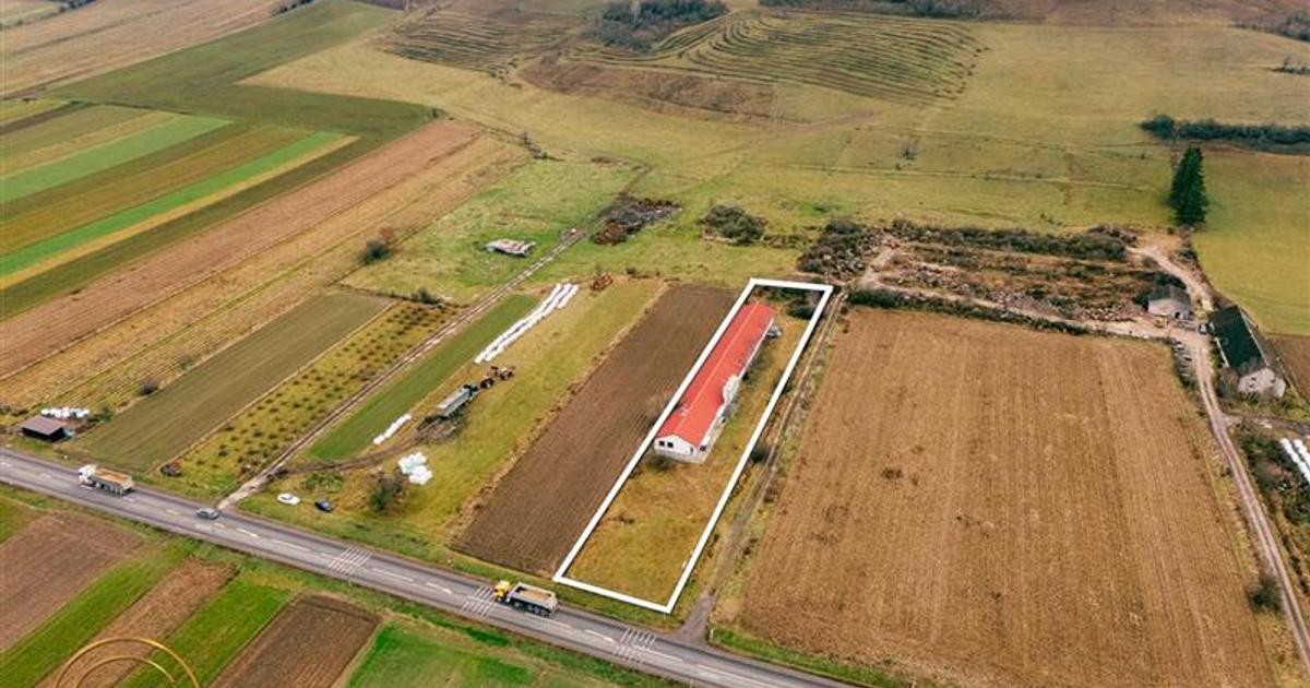 Spațiu industrial 794 mp în Malnaș