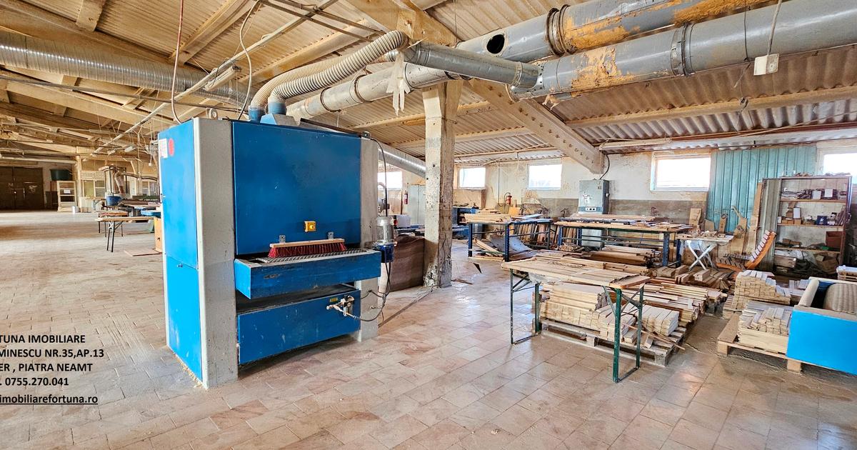 Spațiu industrial 18325 mp în zona Exterior Est, Piatra-Neamț