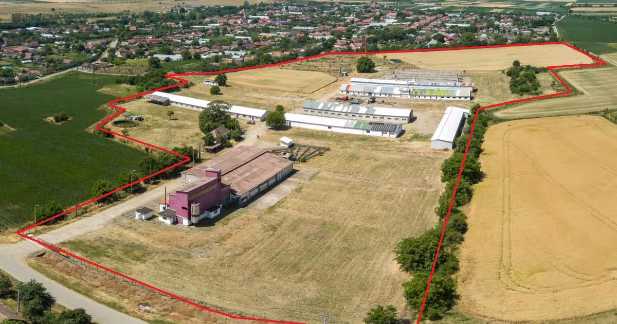 Spațiu industrial 7684 mp în Roșiori