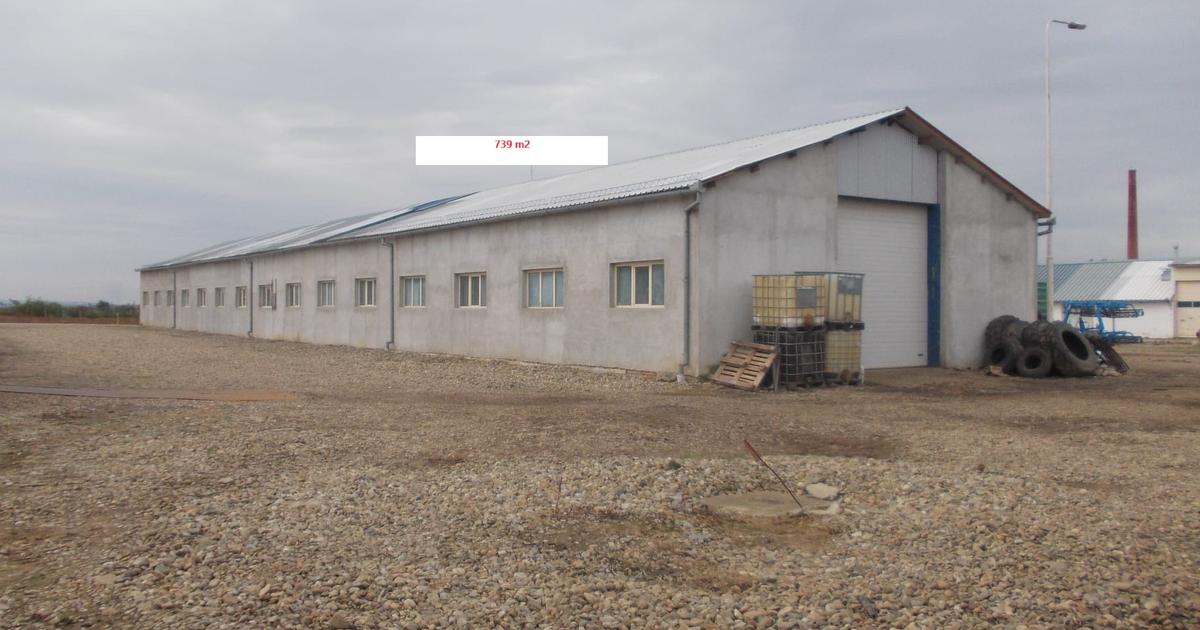 Spațiu industrial 7684 mp în Roșiori
