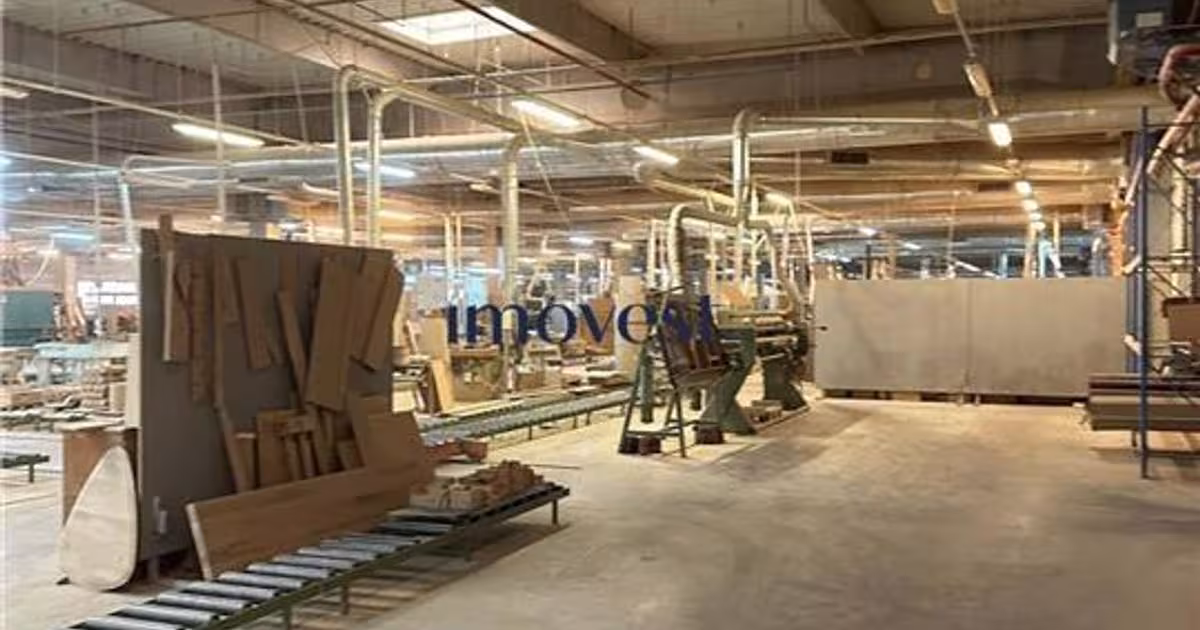 Spațiu industrial 16700 mp în zona Cloșca, Satu Mare