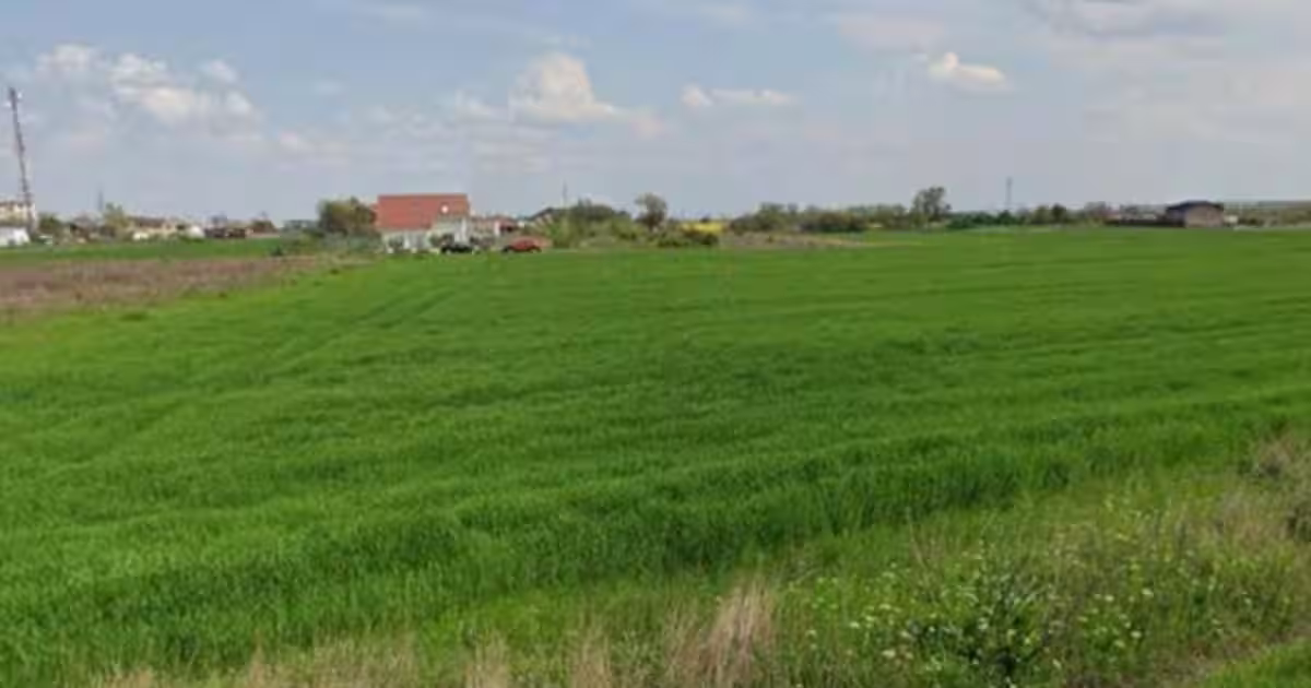 Teren agricol intravilan de 6689 mp, în Adunații-Copăceni