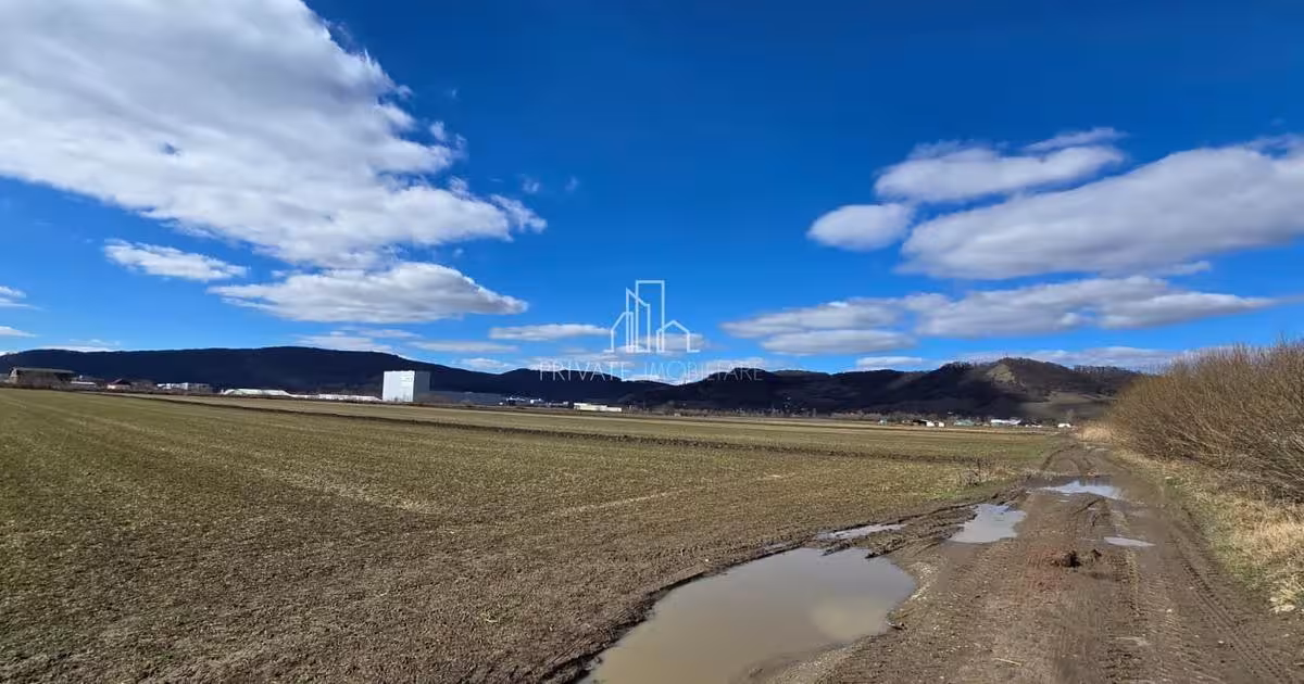 Teren agricol extravilan de 6607 mp, în Albești