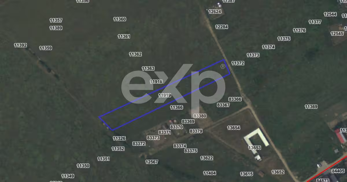 Teren agricol extravilan de 4266 mp, în Albota