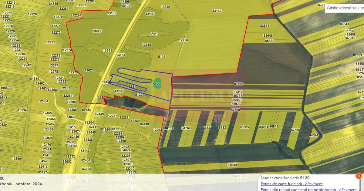 Teren agricol extravilan de 62600 mp, în Albota