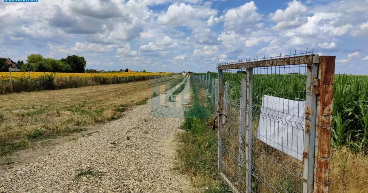 Teren agricol intravilan de 9100 mp, în Apa
