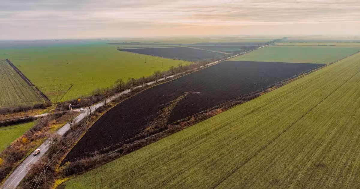 Teren agricol extravilan de 46001 mp, în zona Gai, Arad