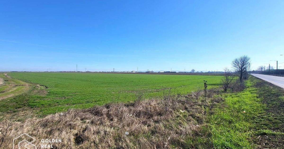 Teren agricol extravilan de 31400 mp, în zona Nord-Est, Arad