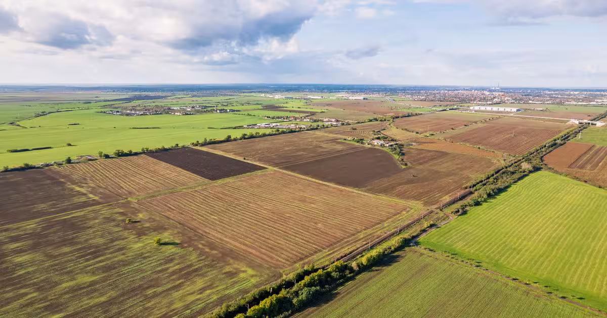 Teren agricol extravilan de 50000 mp, în zona Sud, Arad