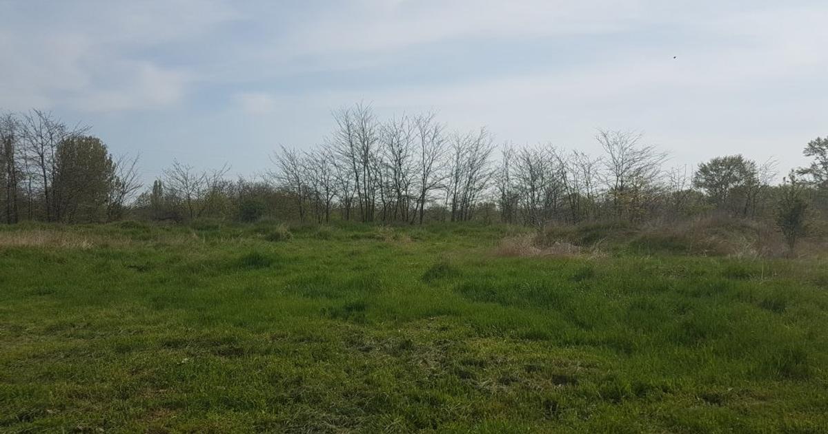 Teren agricol intravilan de 1598 mp, în zona Gherăiești, Bacău
