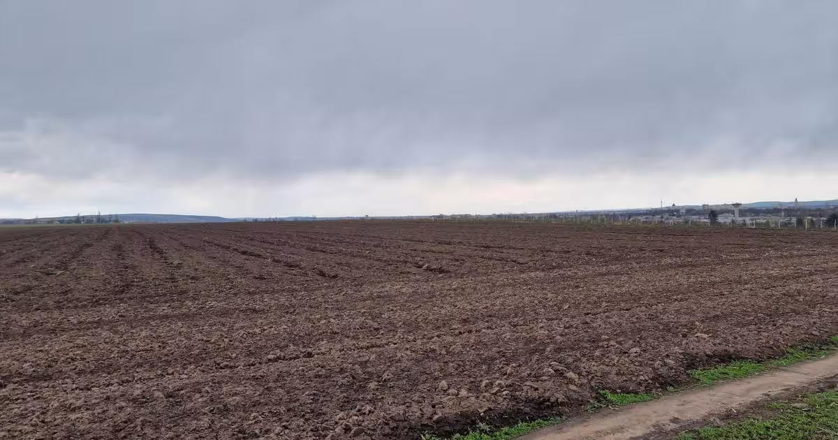 Teren agricol intravilan de 10000 mp, în zona Vest, Bacău