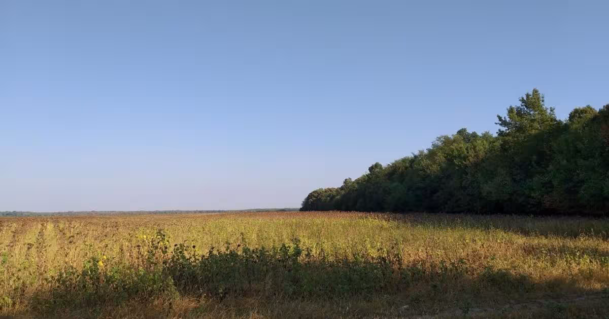 Teren agricol extravilan de 270000 mp, în Bâldana