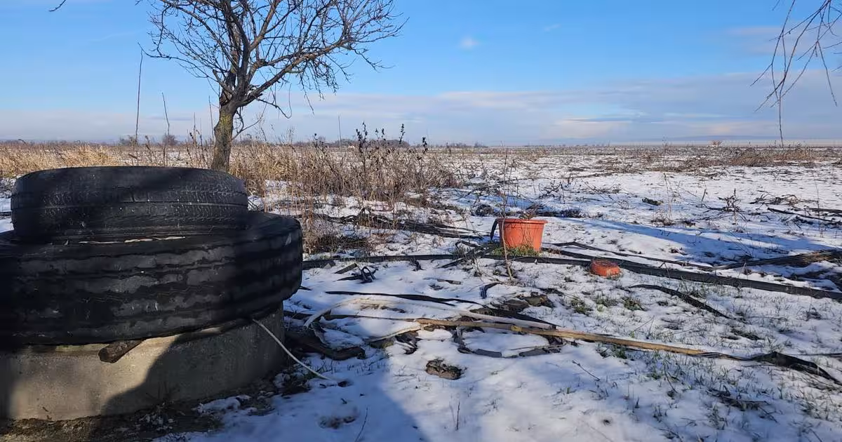 Teren agricol extravilan de 10900 mp, în Băleni-Sârbi