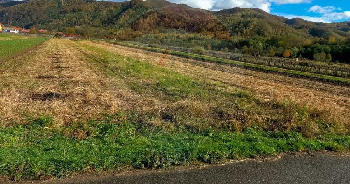 Teren agricol extravilan de 2833 mp, în Baru
