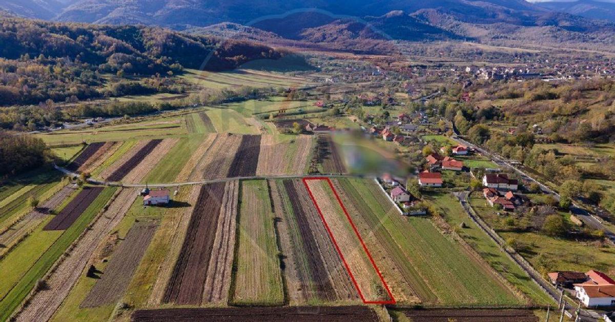 Teren agricol extravilan de 2833 mp, în Baru
