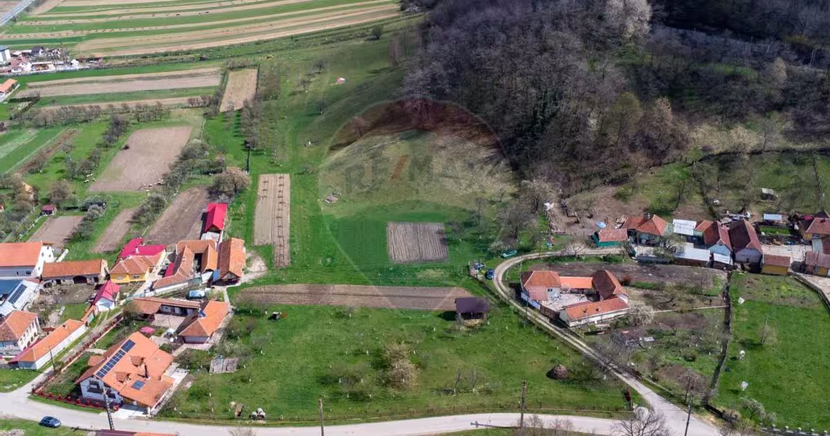 Teren agricol extravilan de 2984 mp, în Baru