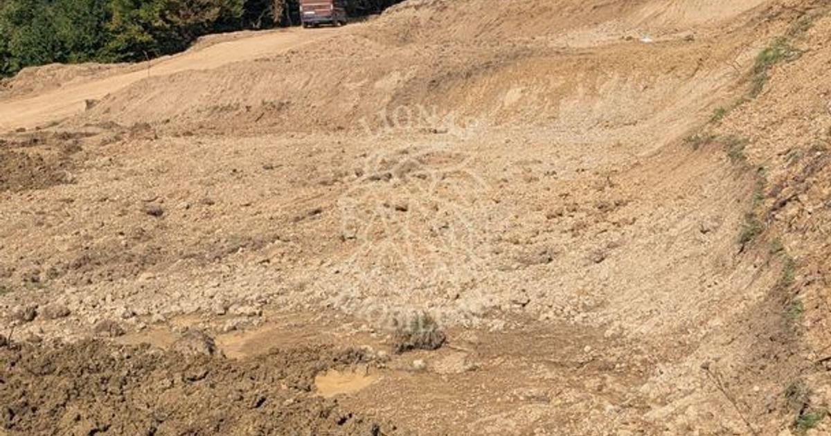 Teren agricol extravilan de 1930 mp, în zona Est, Bistrița