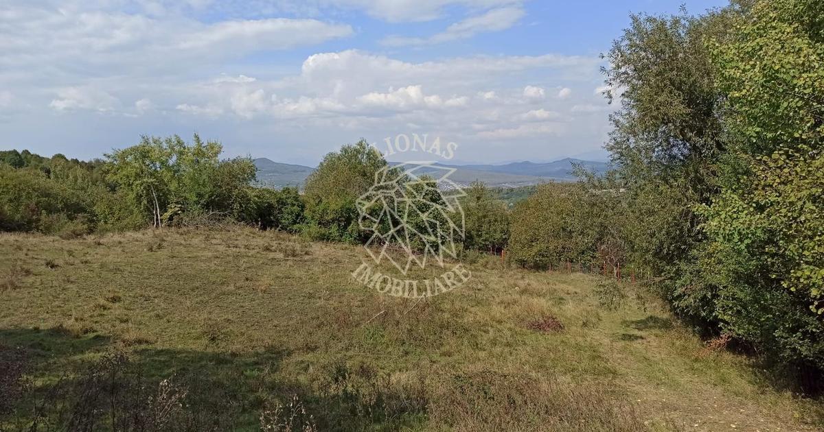 Teren agricol extravilan de 42200 mp, în zona Est, Bistrița