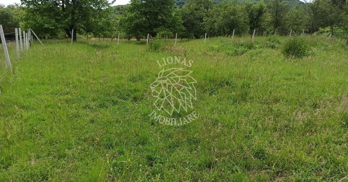 Teren agricol extravilan de 1000 mp, în zona Nord, Bistrița