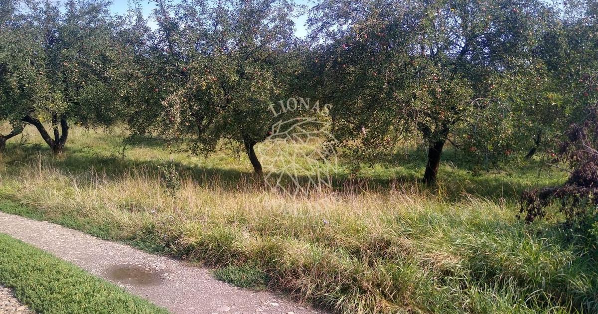 Teren agricol extravilan de 1500 mp, în zona Nord-Est, Bistrița
