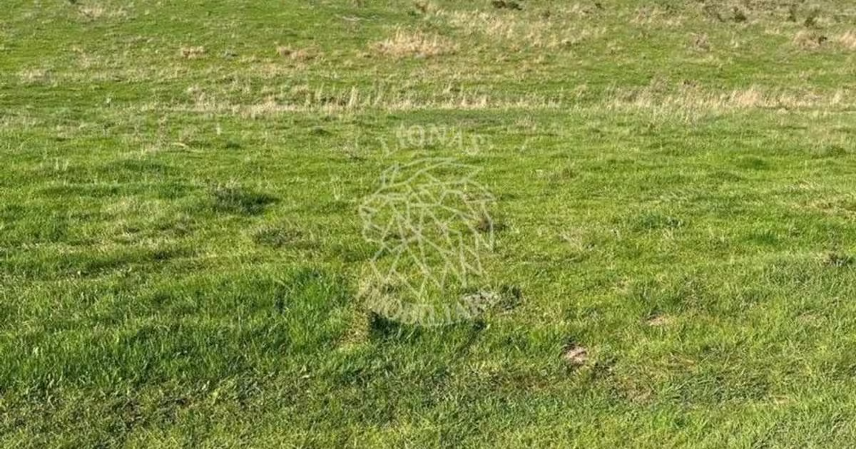 Teren agricol extravilan de 3300 mp, în zona Periferie, Bistrița