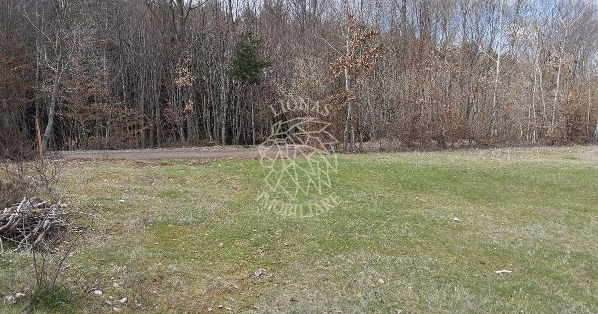 Teren agricol extravilan de 3700 mp, în zona Sud-Est, Bistrița