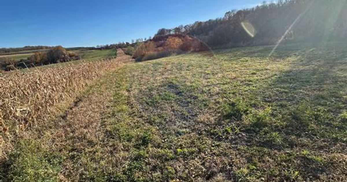 Teren agricol extravilan de 5600 mp, în Bogdand