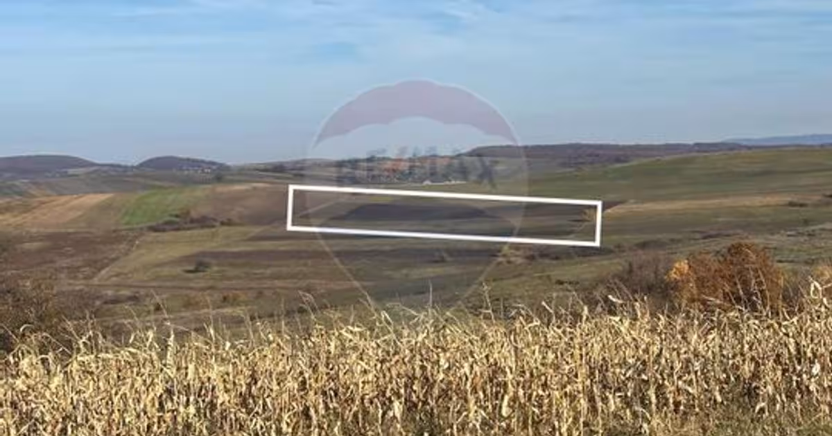 Teren agricol extravilan de 6446 mp, în Bogdand