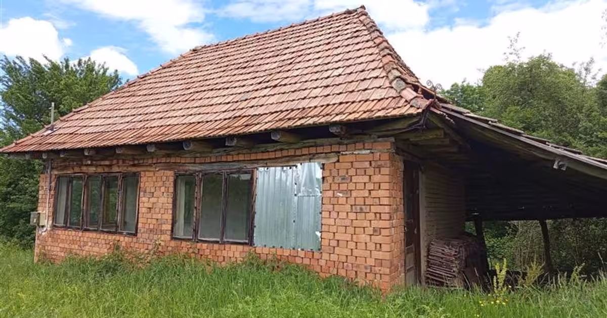 Teren agricol extravilan de 16000 mp, în Borlovenii Noi