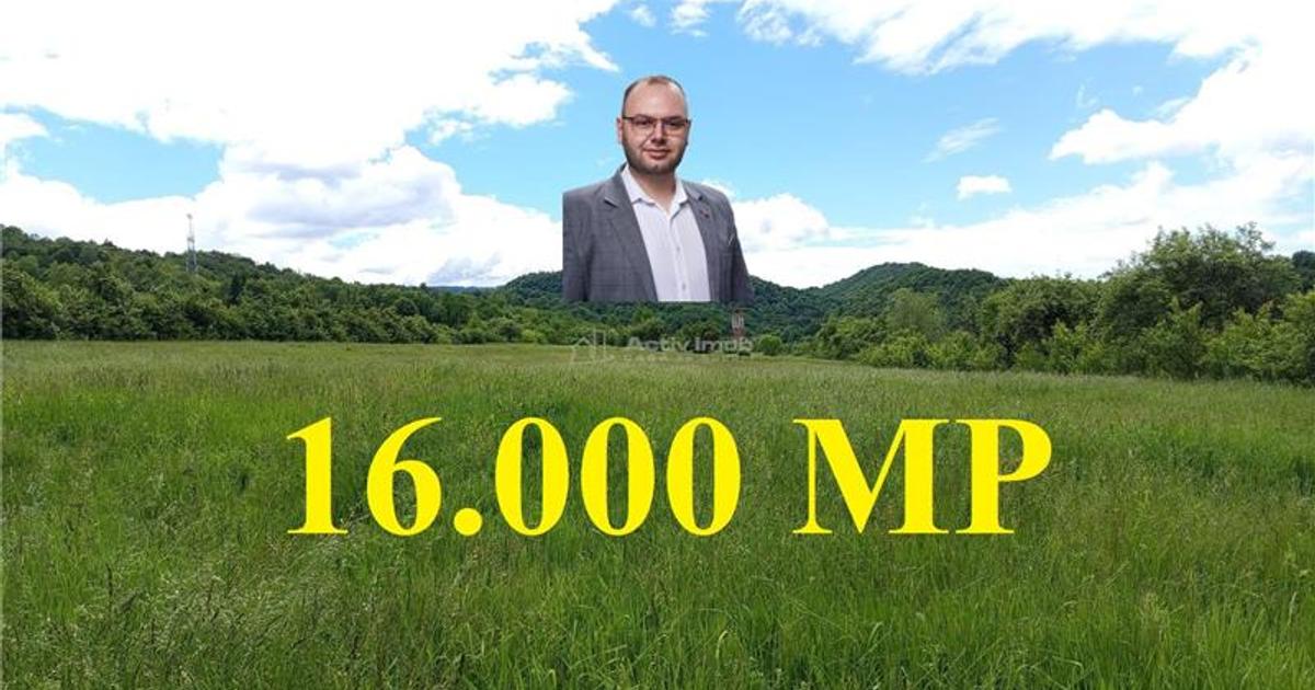 Teren agricol extravilan de 16000 mp, în Borlovenii Noi