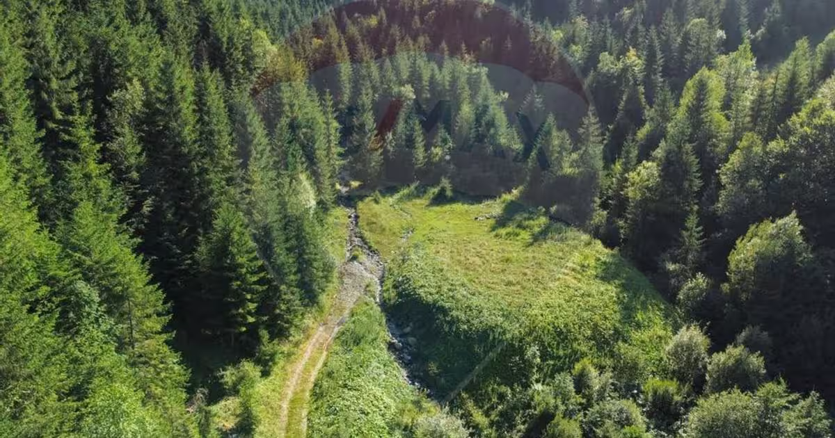 Teren agricol extravilan de 2895 mp, în zona Nord, Borșa