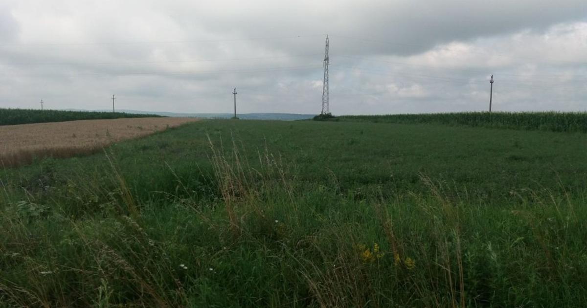 Teren agricol extravilan de 17300 mp, în zona Periferie, Botoșani