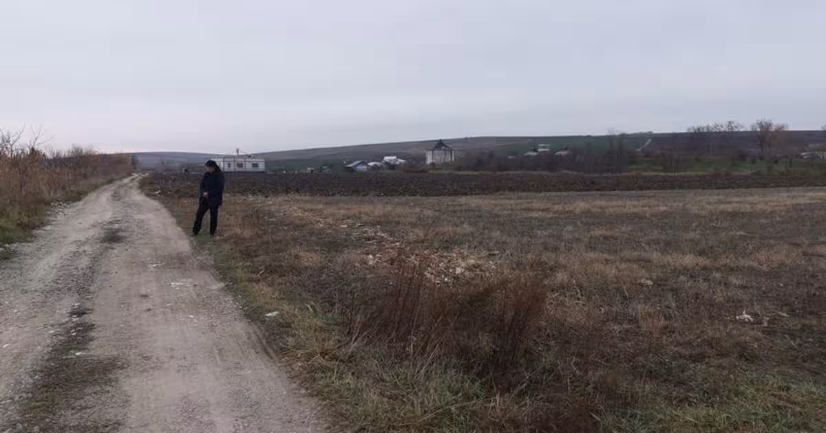 Teren agricol intravilan de 10000 mp, în zona Periferie, Botoșani