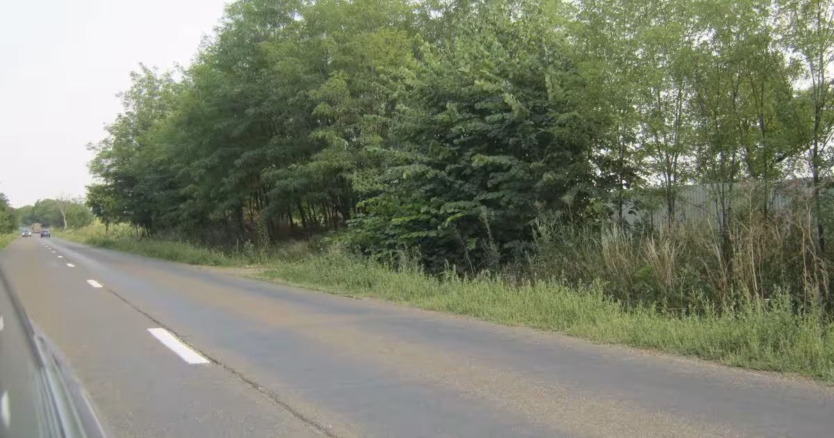 Teren agricol intravilan de 28000 mp, în zona Periferie, Botoșani