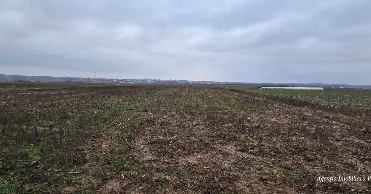 Teren agricol intravilan de 35000 mp, în zona Periferie, Botoșani