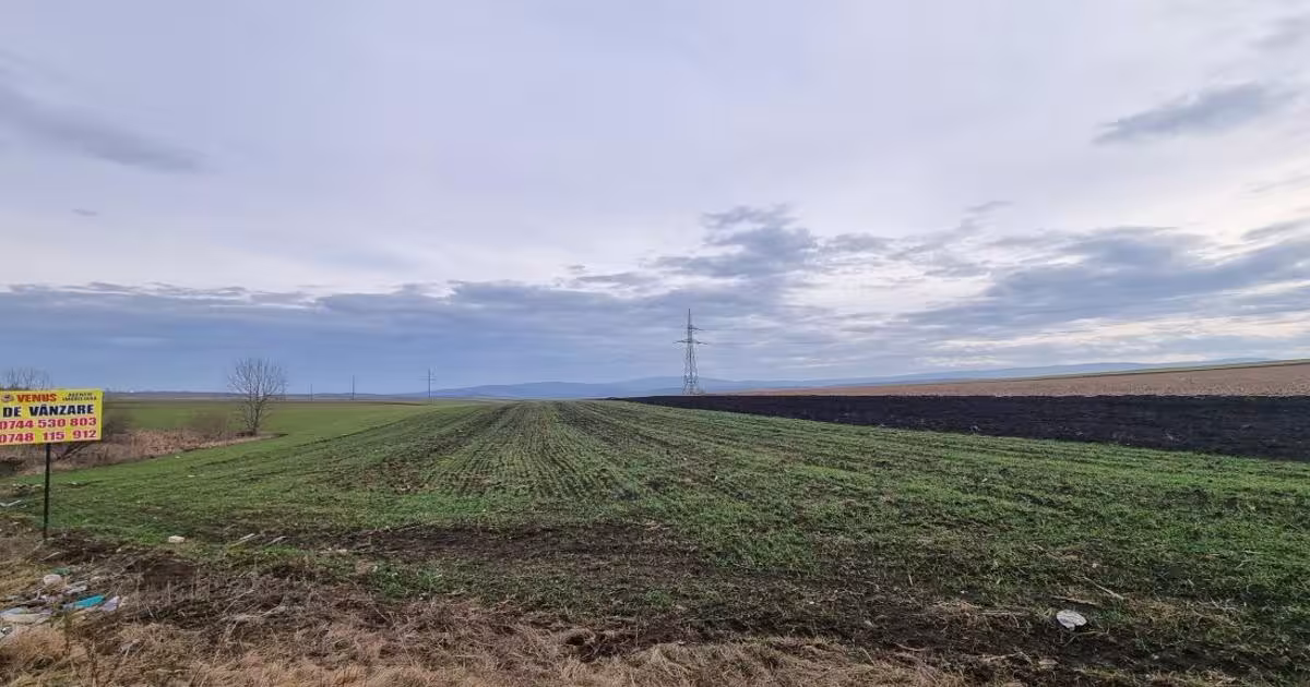 Teren agricol extravilan de 5400 mp, în zona Periferie, Botoșani