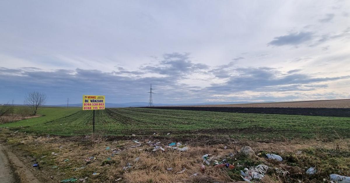 Teren agricol extravilan de 5400 mp, în zona Periferie, Botoșani