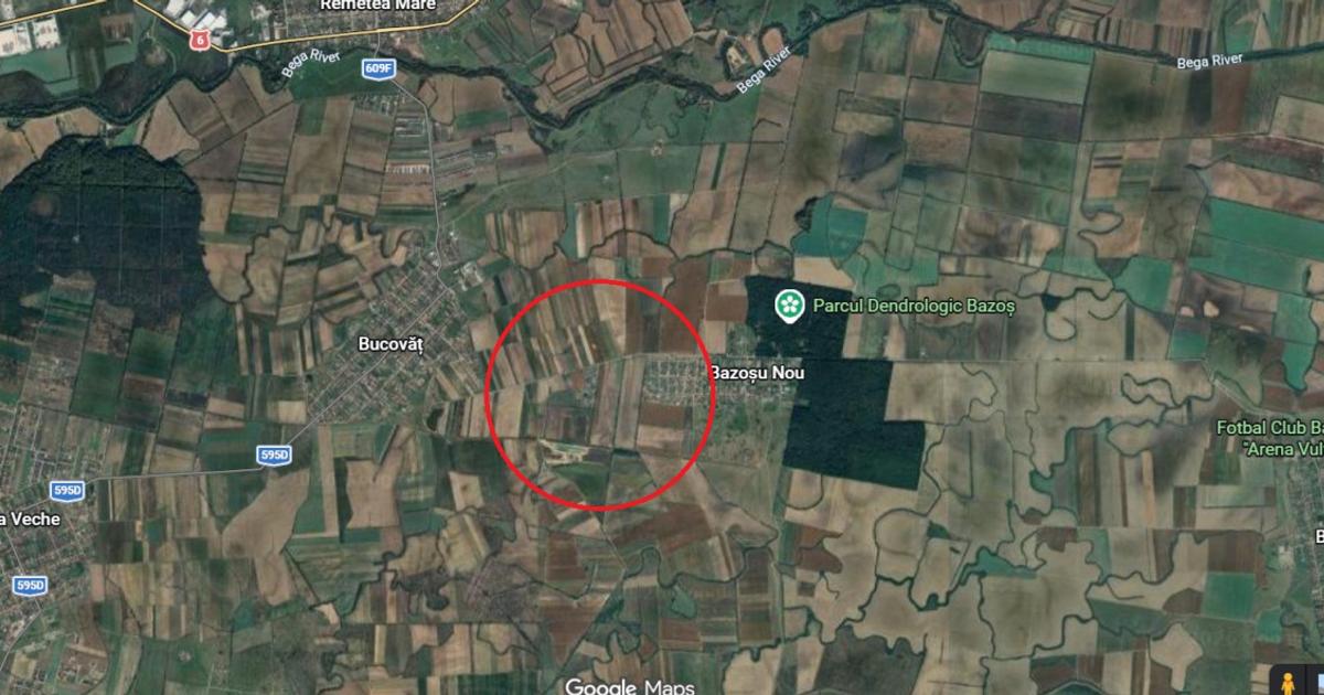 Teren agricol intravilan de 40600 mp, în Bucovăț (Remetea Mare)