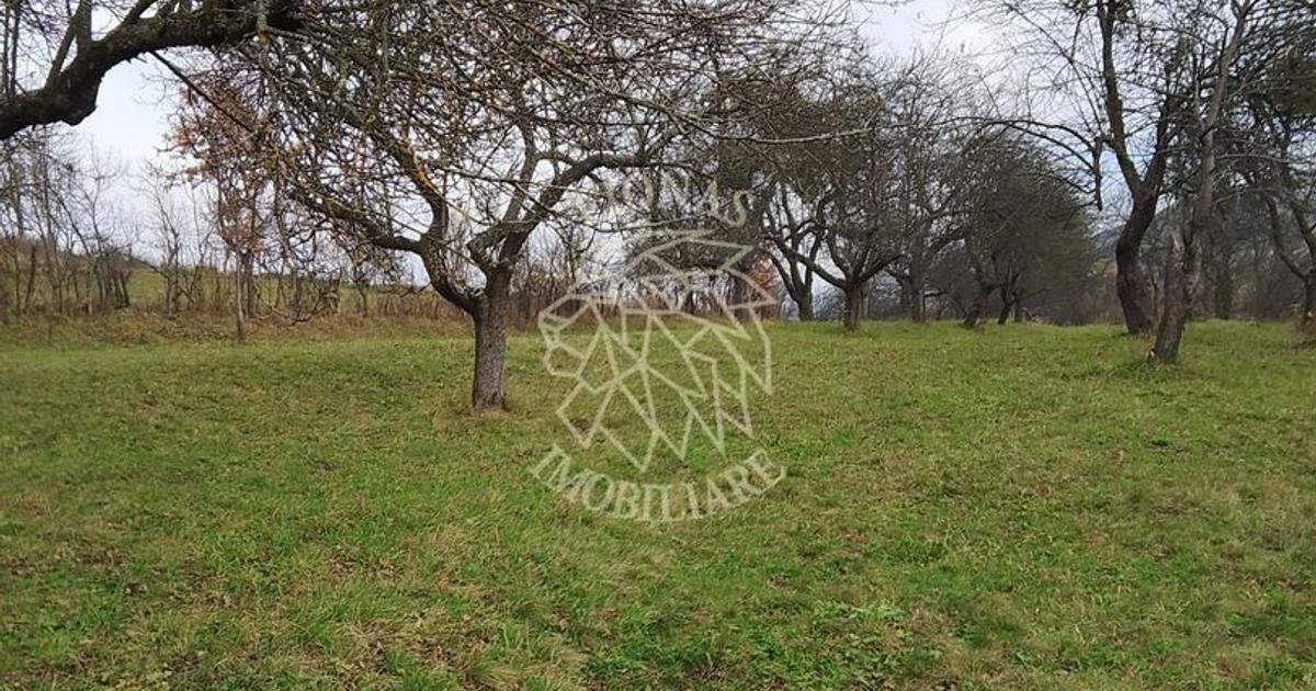 Teren agricol extravilan de 3966 mp, în Budacu de Sus