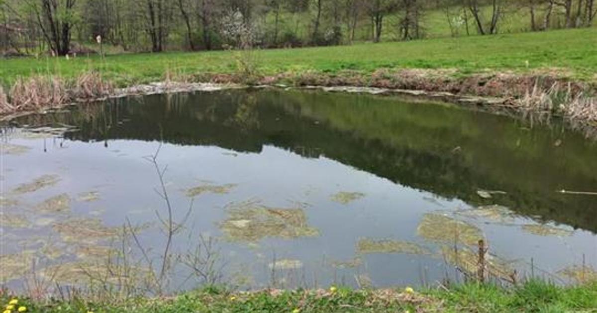 Teren agricol intravilan de 4719 mp, în Bulz