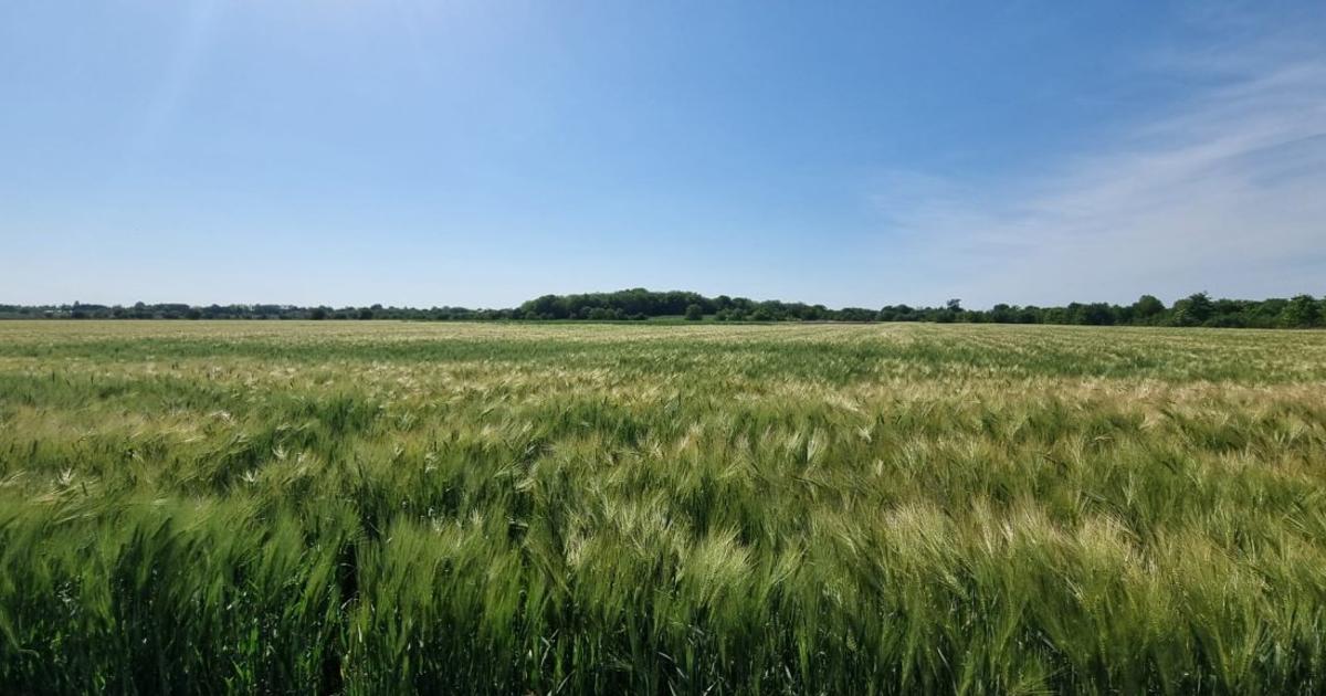 Teren agricol extravilan de 11000000 mp, în zona Vest, Buzău