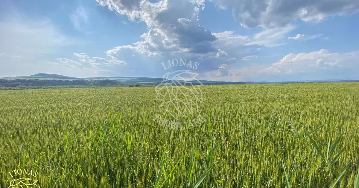 Teren agricol extravilan de 4300 mp, în Chintelnic